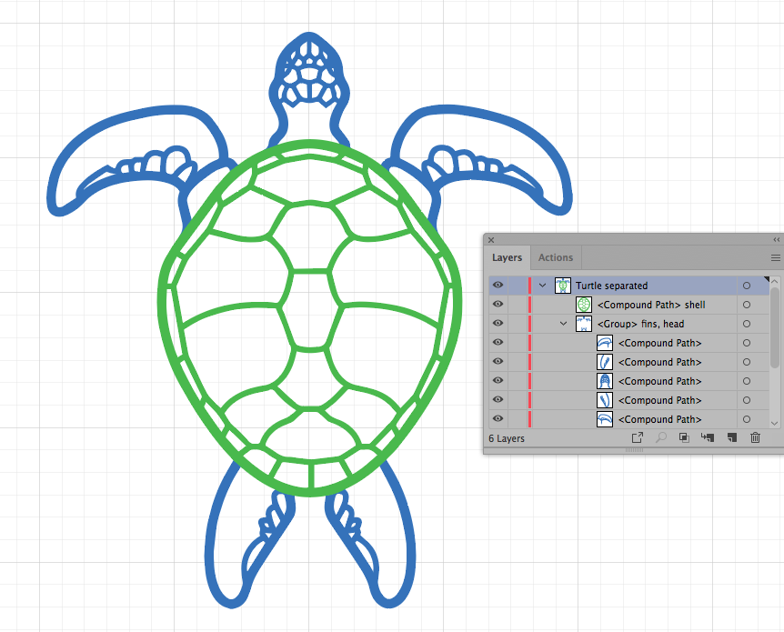 turtle separated.png